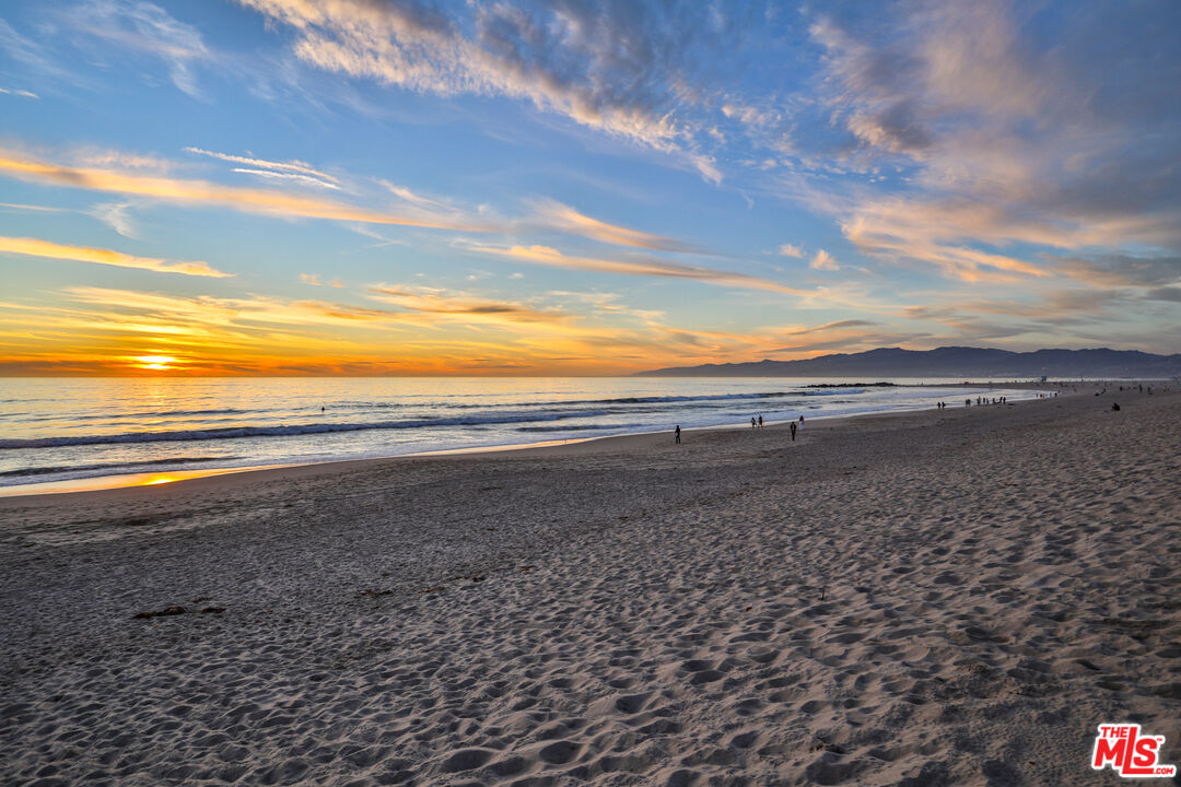2207 Ocean Front Walk Unit: 4