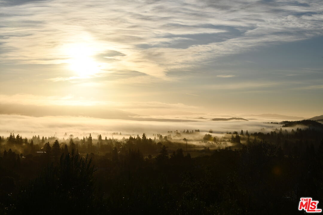 2910 Spring Mountain Rd