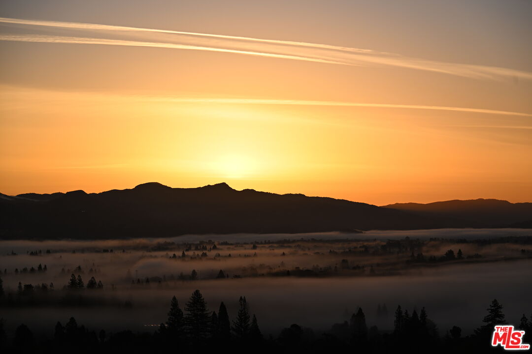 2910 Spring Mountain Rd