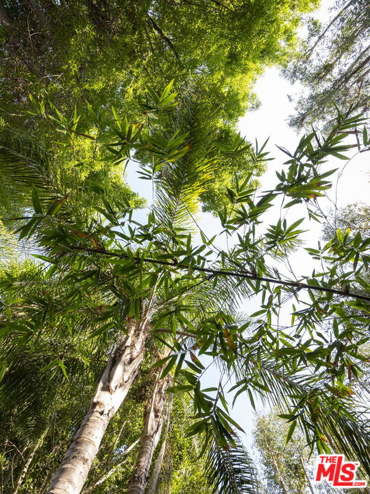 2625 Nichols Canyon Rd