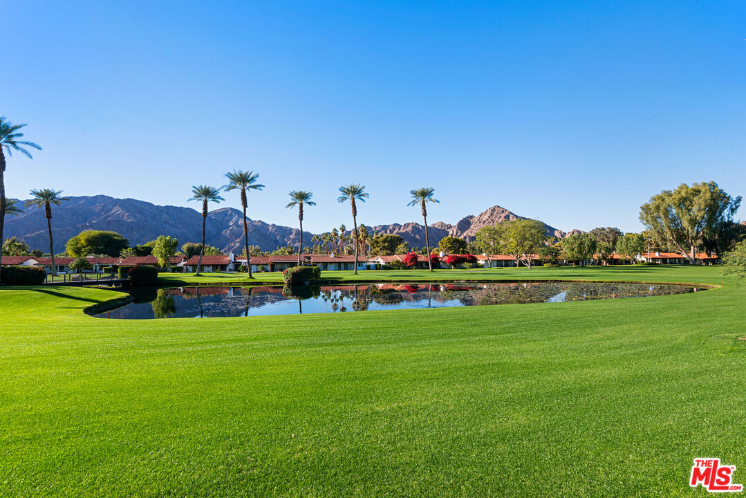 49723 Avenida Montero