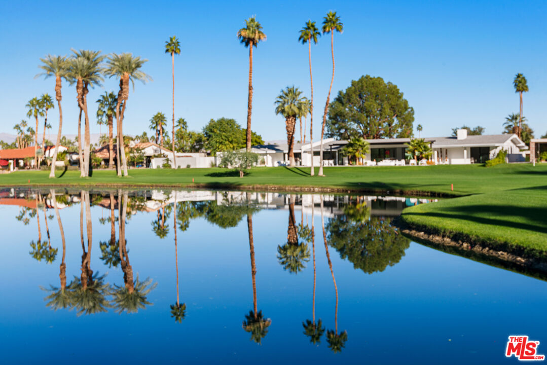 49723 Avenida Montero