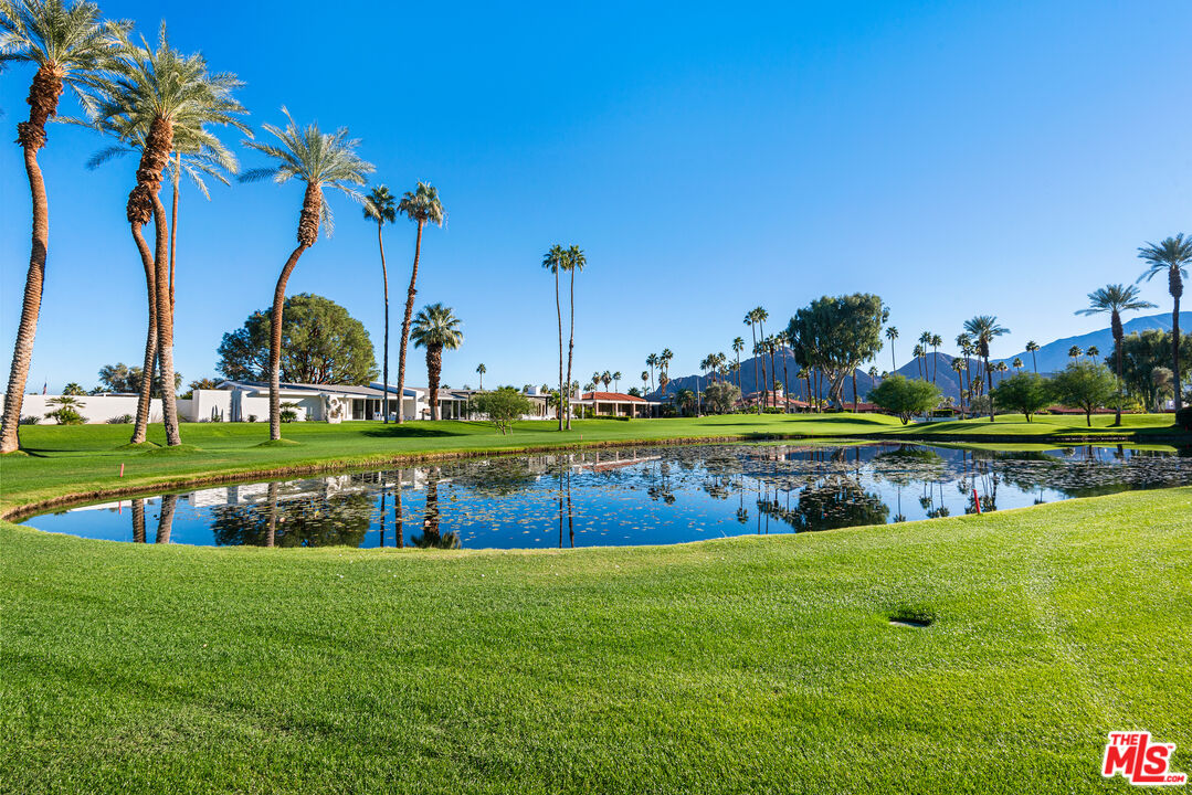 49723 Avenida Montero