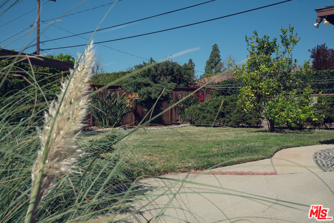 3325 Primavera St
