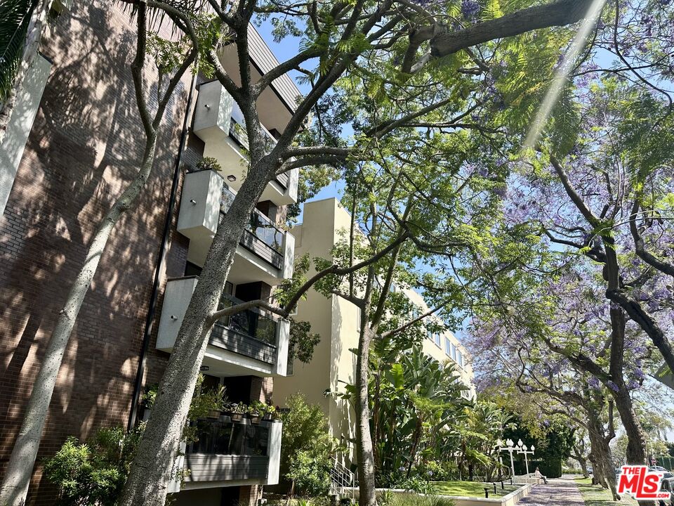 324 N Palm Dr Unit: 206