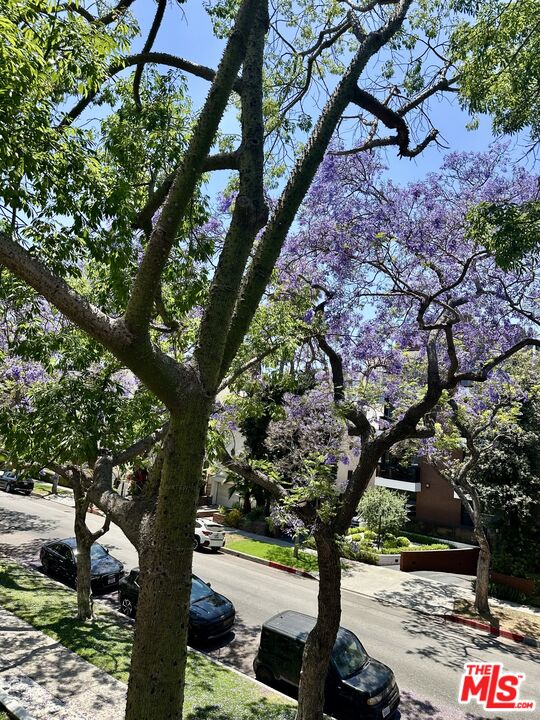 324 N Palm Dr Unit: 206