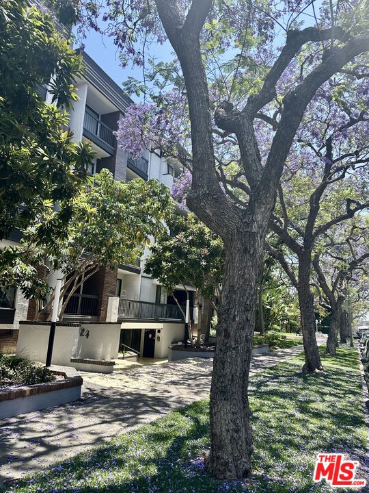 324 N Palm Dr Unit: 206