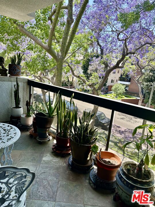 324 N Palm Dr Unit: 206