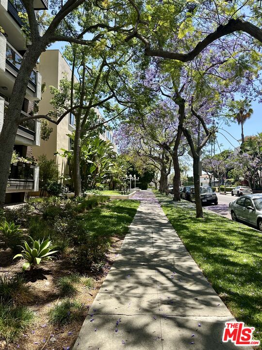 324 N Palm Dr Unit: 206