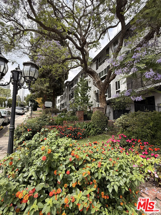1222 Olive Dr Unit: 105