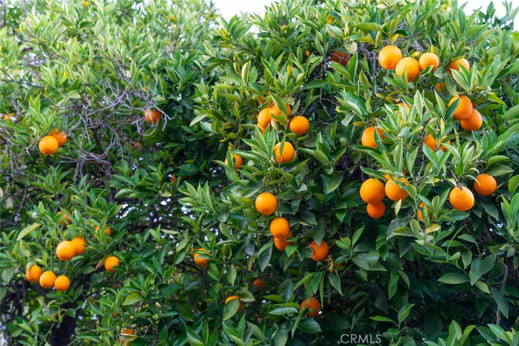 6954 Woodlake Avenue