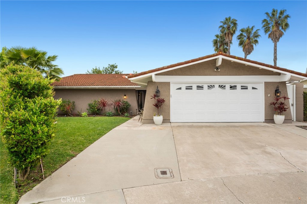25552 Rhoda Drive