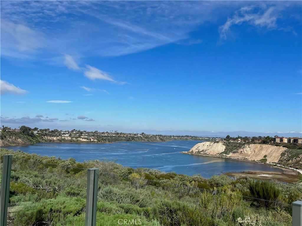 1435 High Bluff Drive