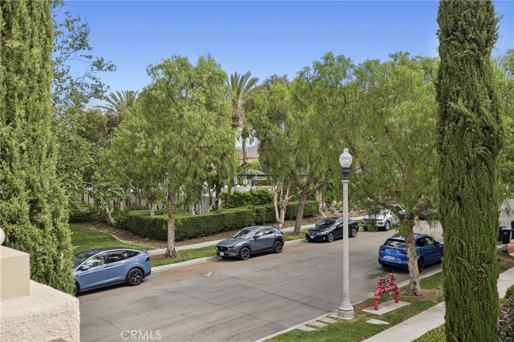 38 Nature