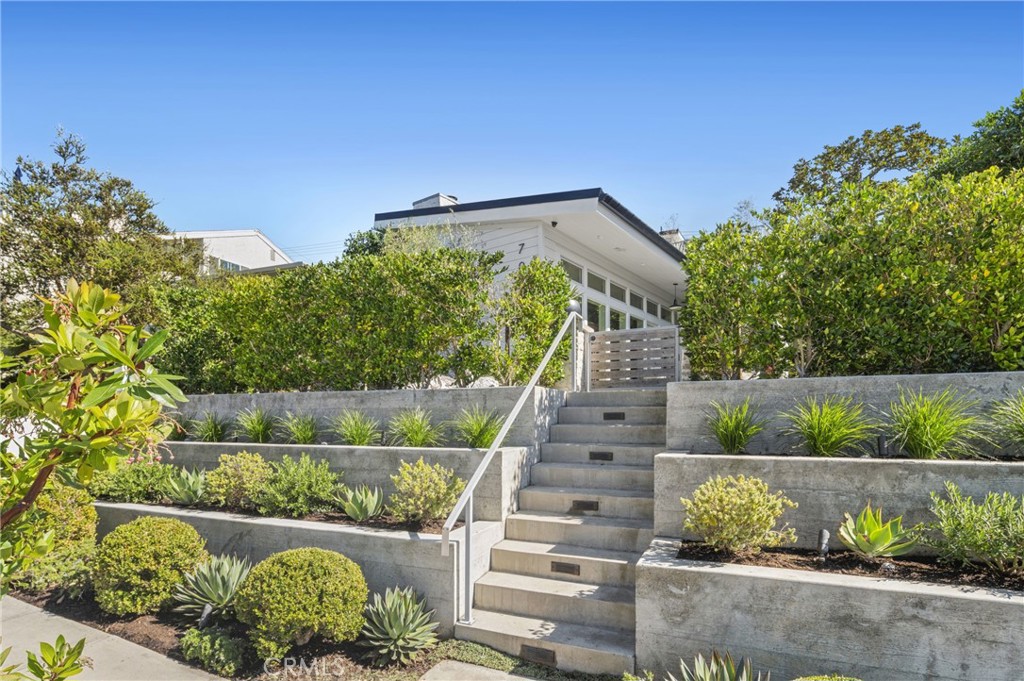 706 Poinsettia