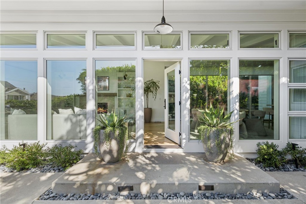 706 Poinsettia