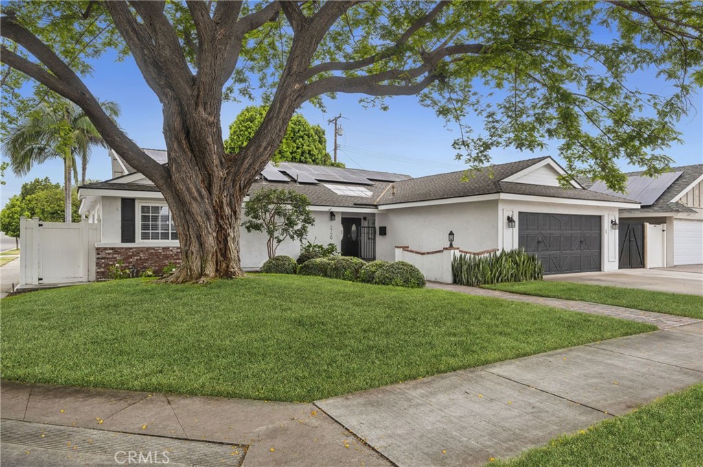 2729 E Dorothy