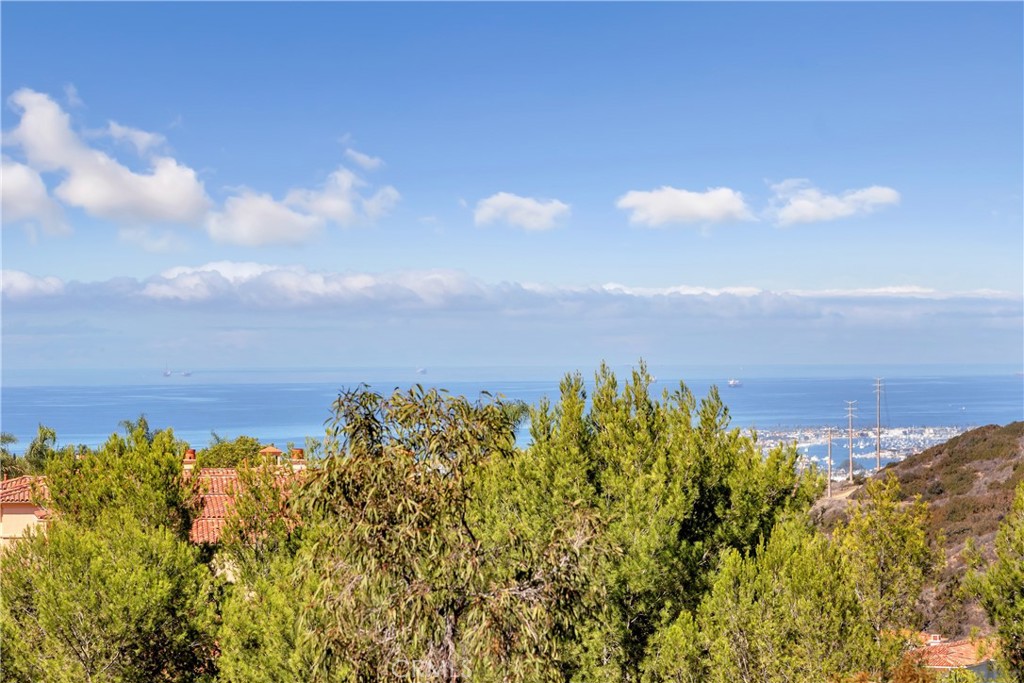 1 Savona Court