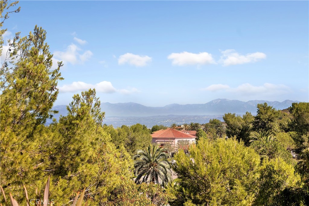 1 Savona Court