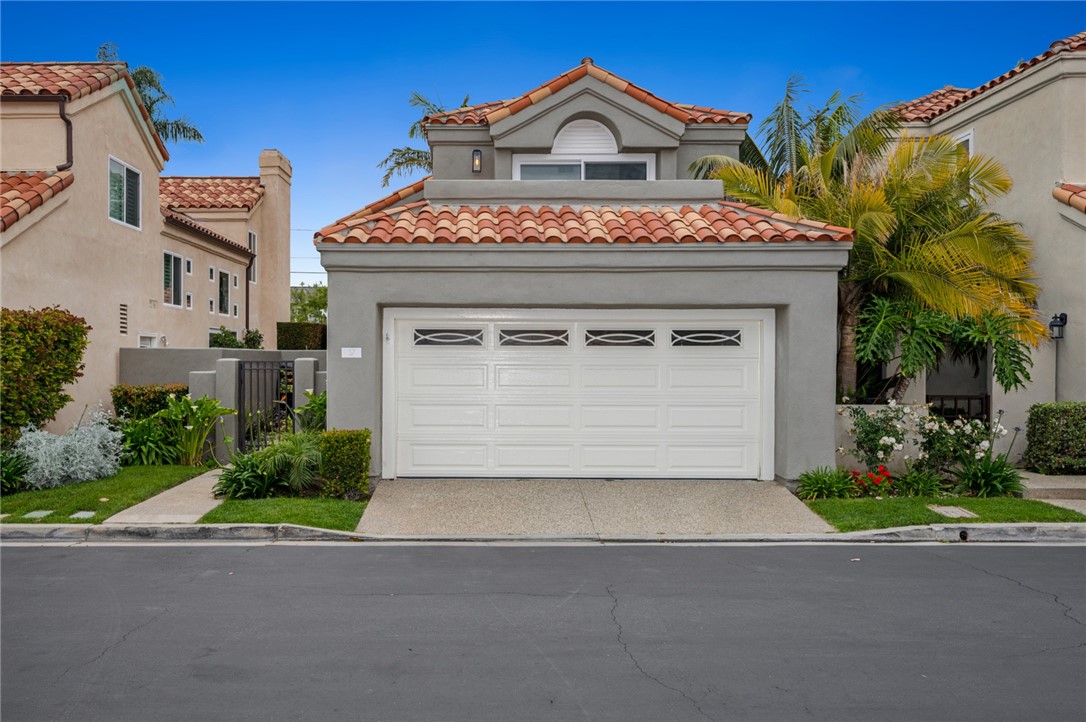 37 Shearwater