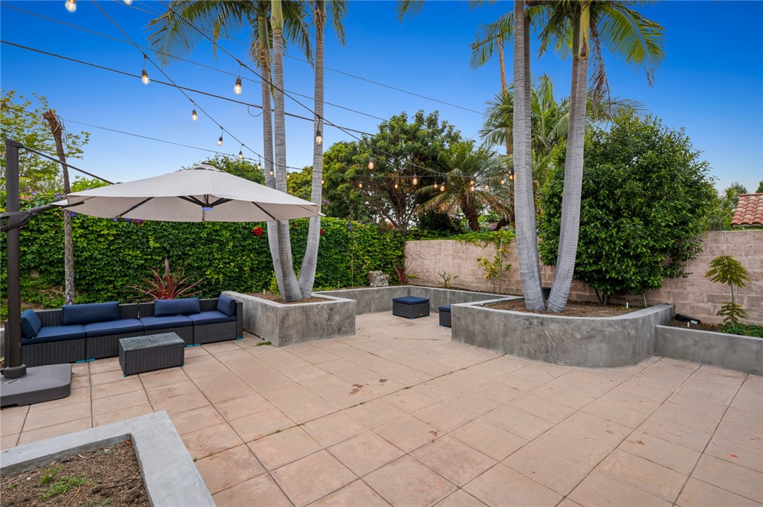 37 Shearwater