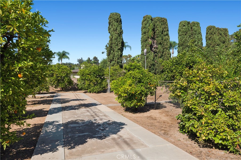 11591 Cielo Place