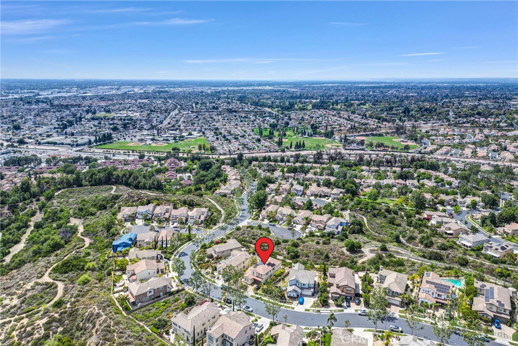 2877 Muir Trail Drive