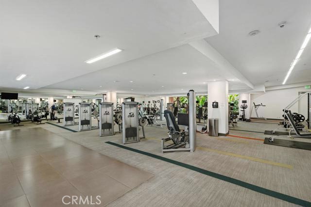 1234 Wilshire Boulevard 207