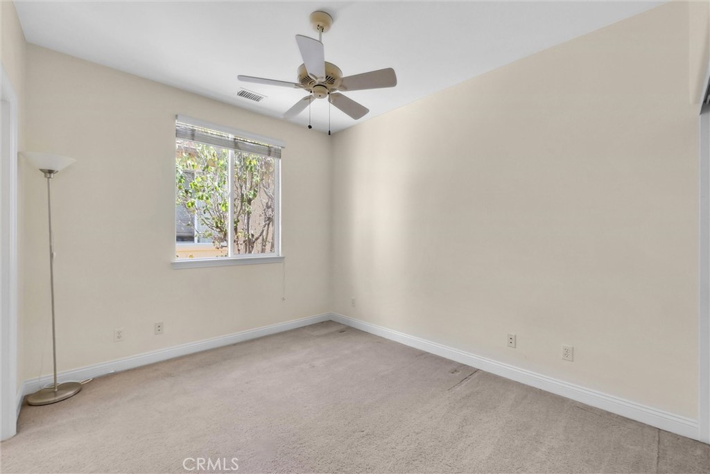 23 Carpenteria