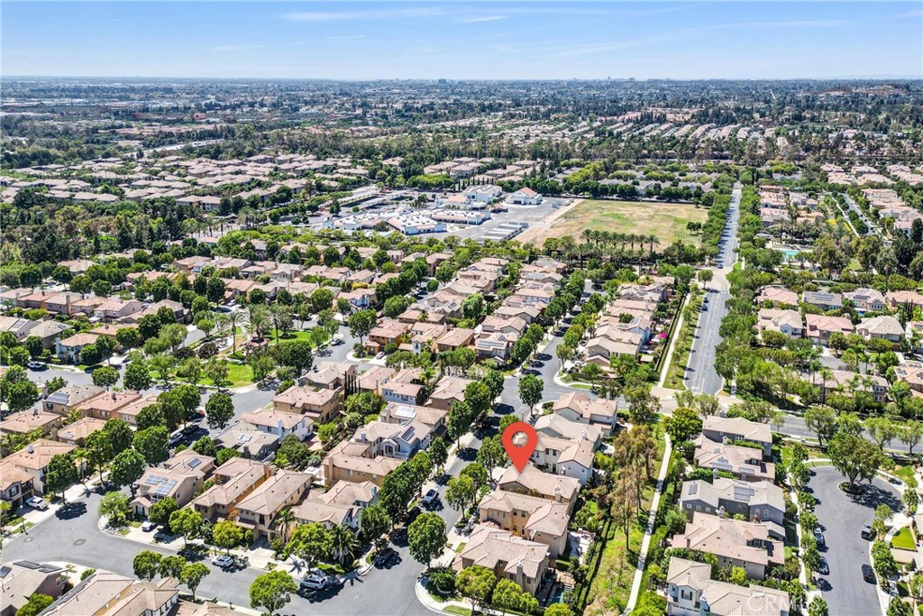 23 Carpenteria
