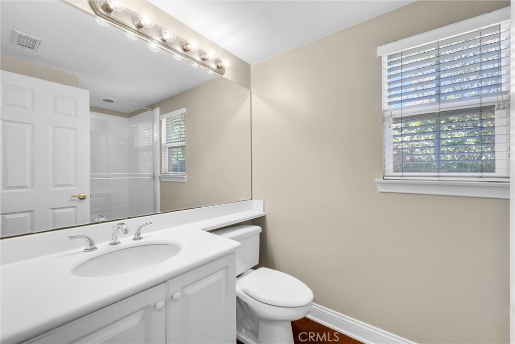 23 Carpenteria