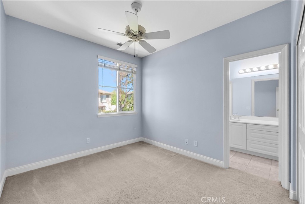 23 Carpenteria