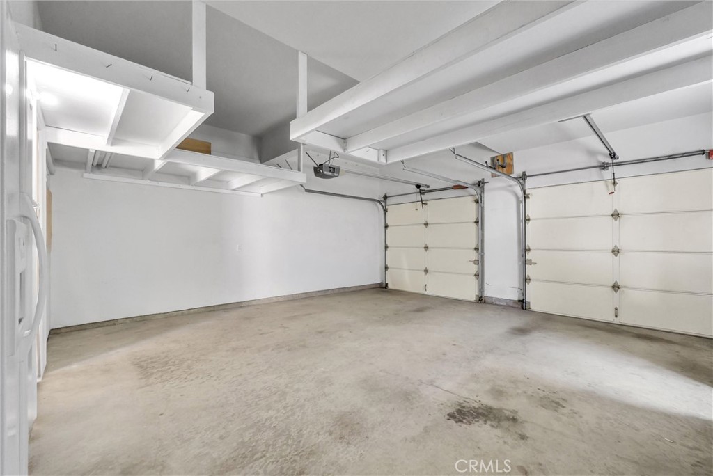 23 Carpenteria