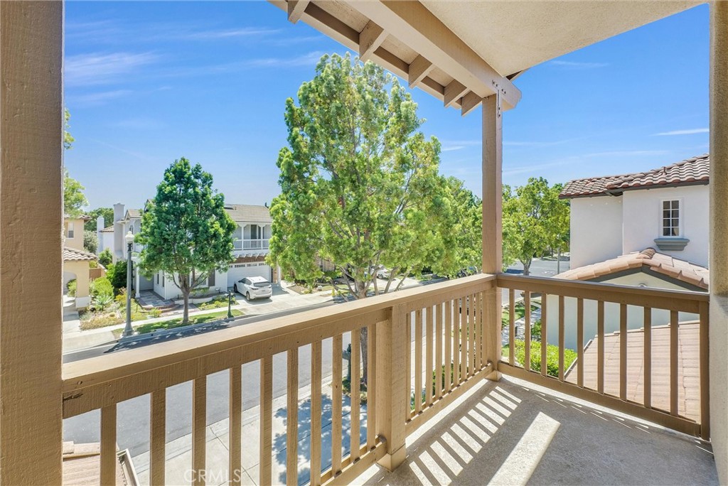 23 Carpenteria
