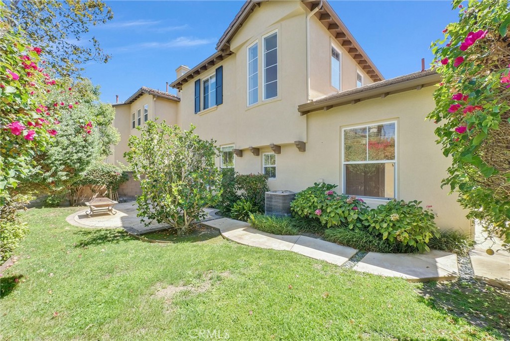 23 Carpenteria