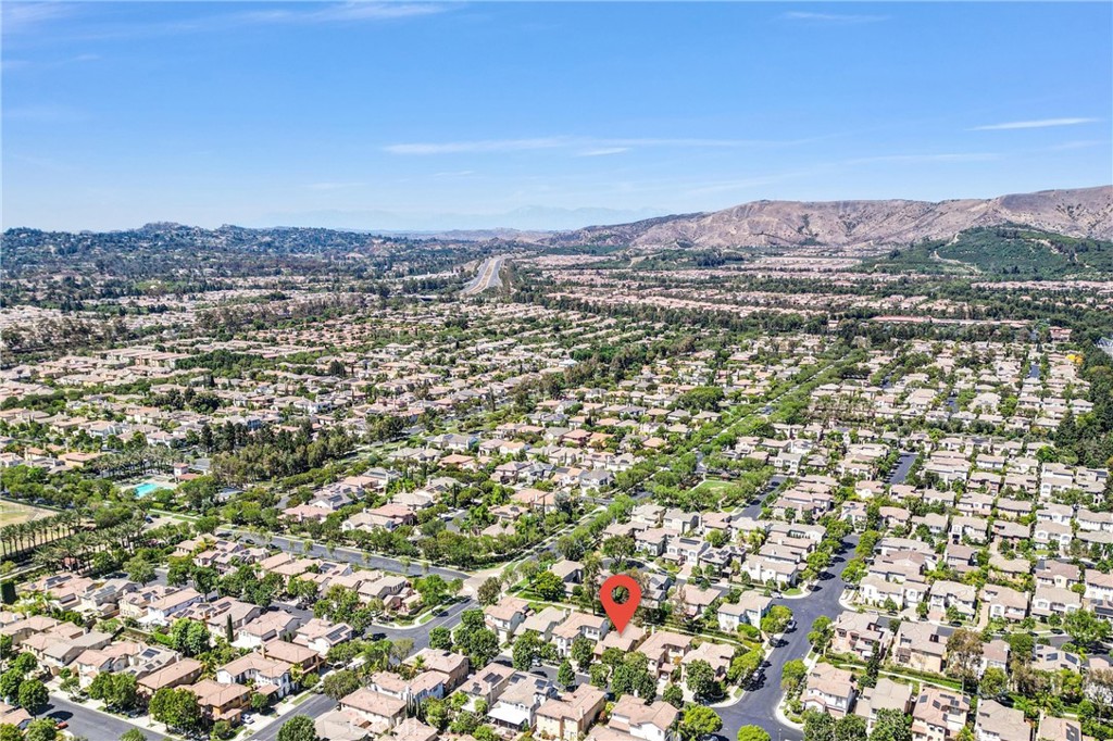 23 Carpenteria
