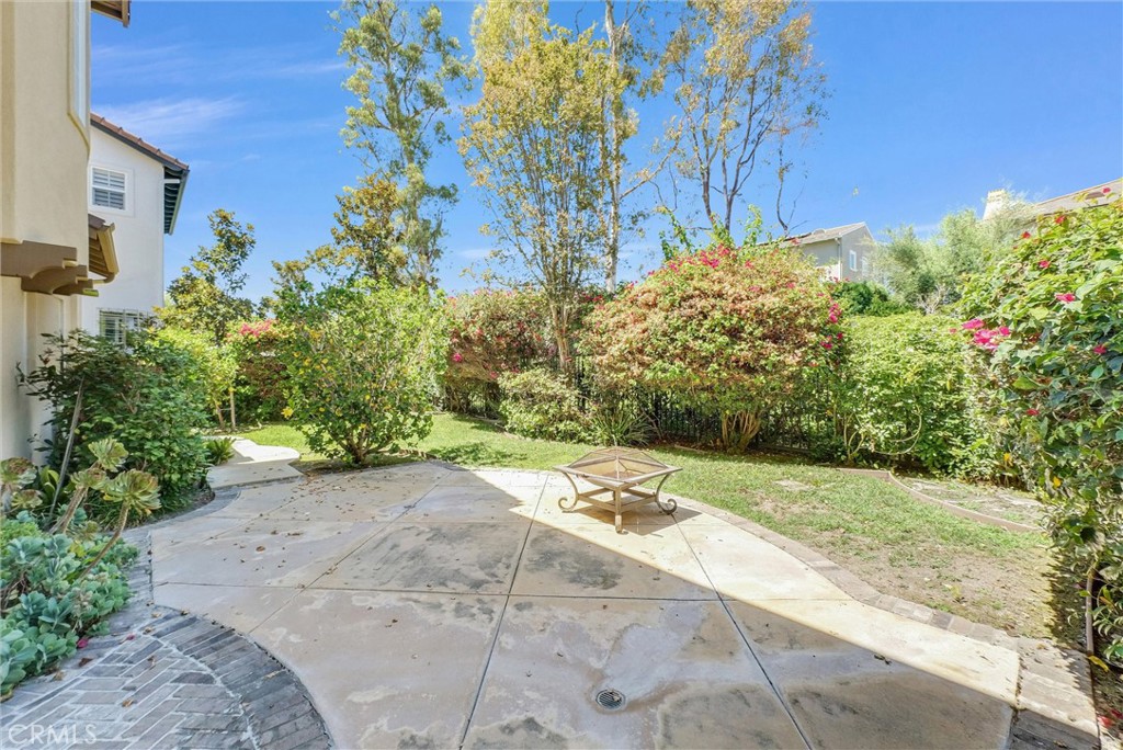 23 Carpenteria