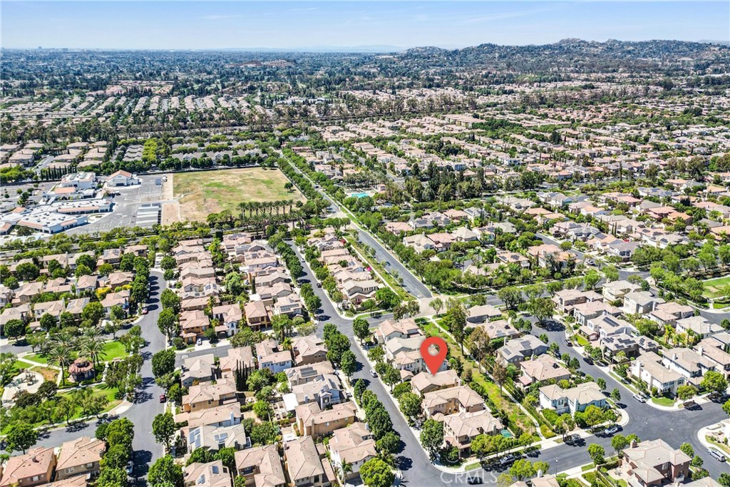 23 Carpenteria