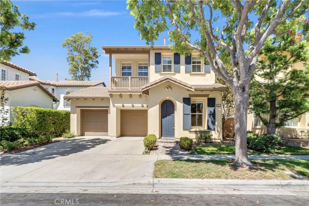 23 Carpenteria