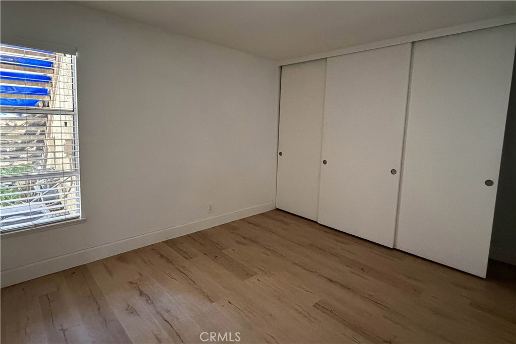 284 Tangelo