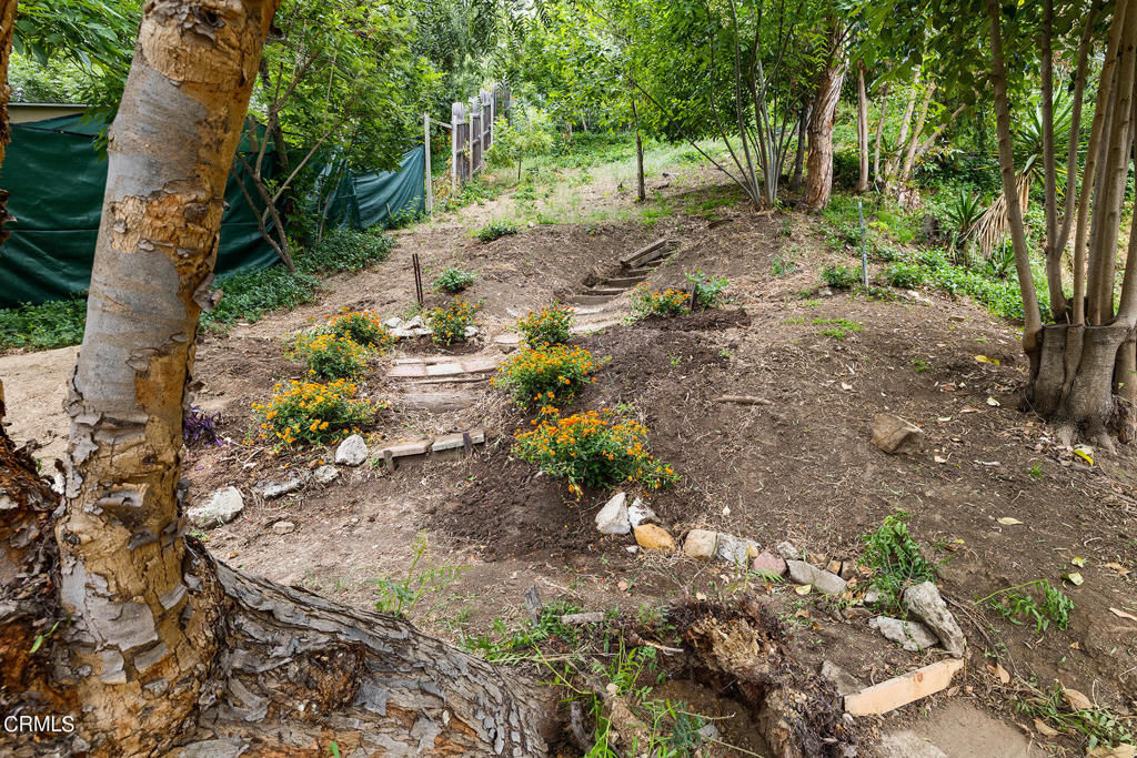 4524 San Andreas Avenue