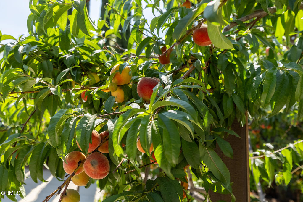 525 N Michillinda Avenue