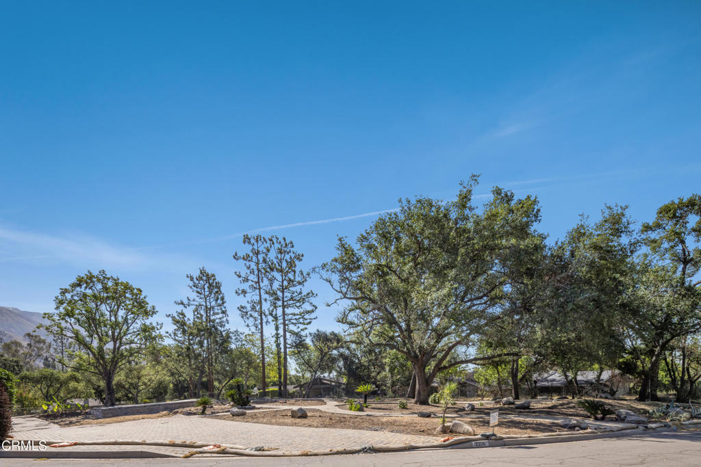 2236 Suree Ellen Lane