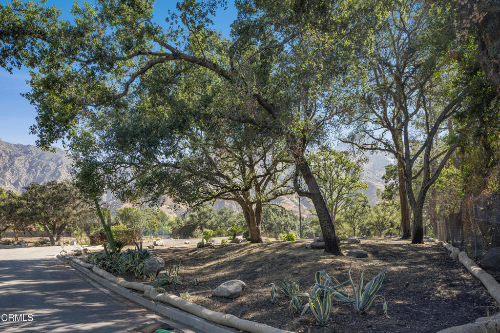 2236 Suree Ellen Lane