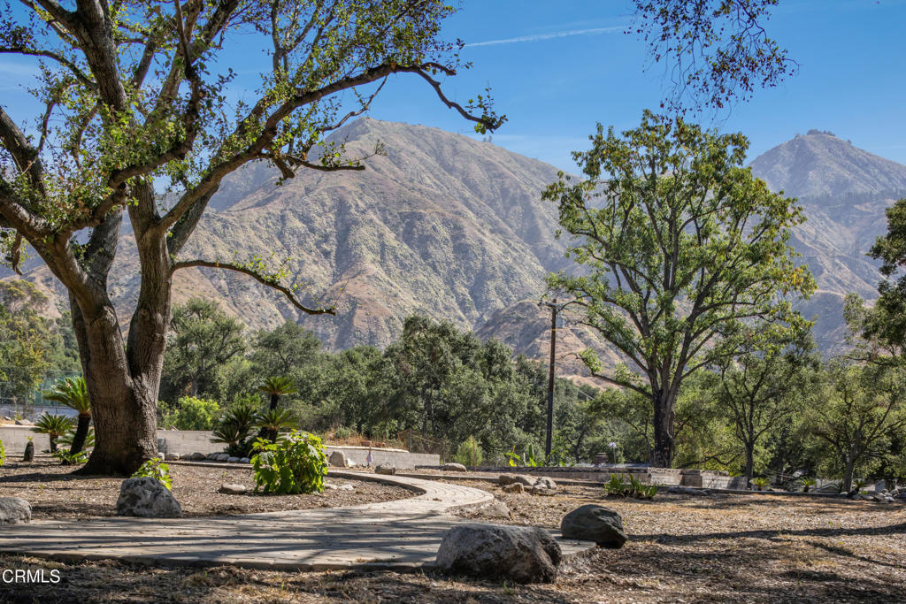 2236 Suree Ellen Lane