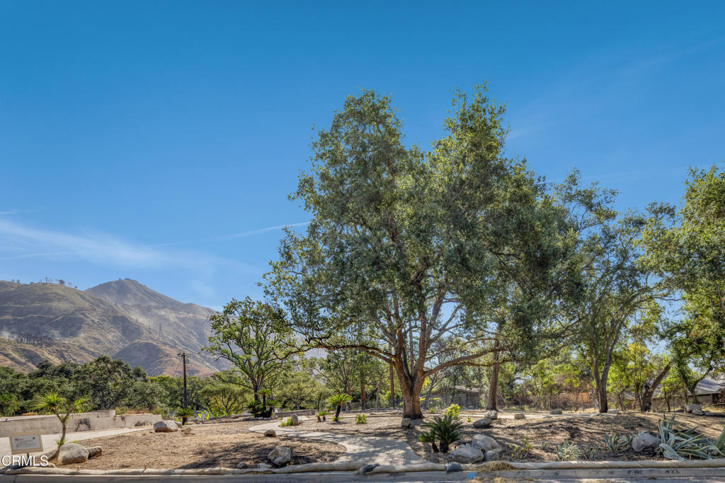 2236 Suree Ellen Lane