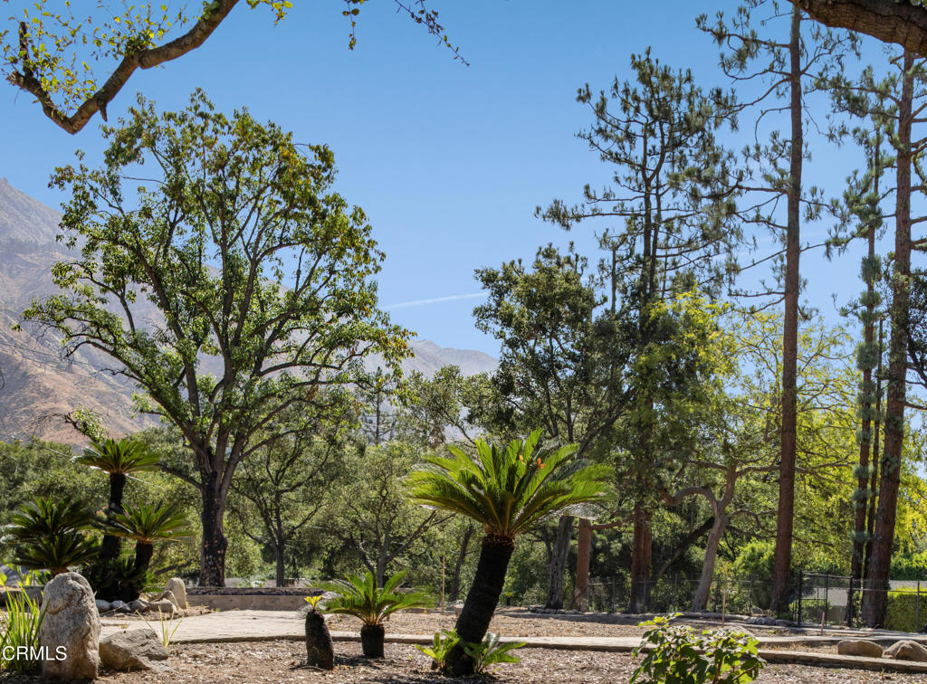 2236 Suree Ellen Lane