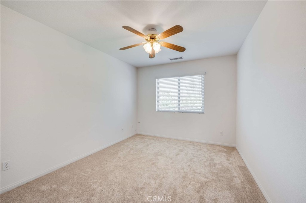 27229 Icy Willow