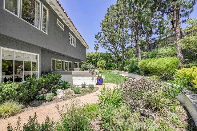 30204 Calle de Suenos