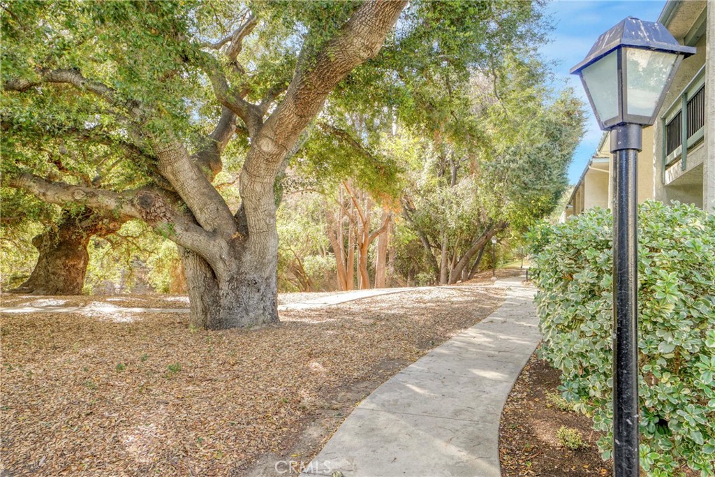 23643 Park Capri 38